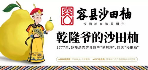 夢(mèng)回唐朝楊貴妃，沙田有柚震乾隆——廣西旅游年卡與旅發(fā)旅行社集團(tuán)攜手共譜文化之旅